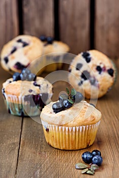 Muffin cupcakes with blueberries on a wooden background. Cupcakes decorated with berries Vertical photo