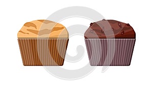 Muffin set. Chcolate and vanilla cupcake.
