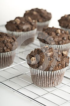 Muffins