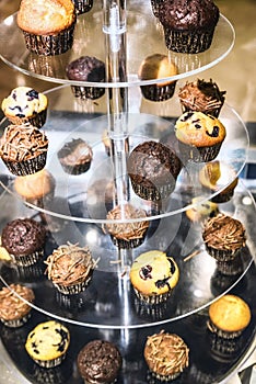 Muffins on bakery tray buffet for morning continental breakfast