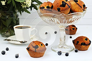Muffins with black currant on a white background