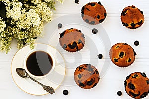 Muffins with black currant on a white background