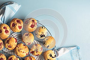 Muffins with blueberries and raspberry fruits. Popular breakfast dessert