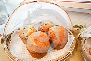 muffins or blueberry muffins in the tray