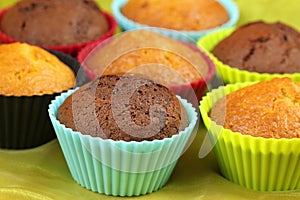 Muffins in colorful cupcakes