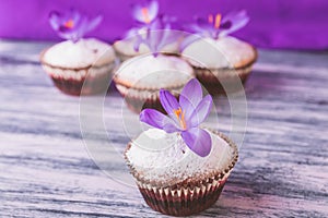 Muffins decorated with crocus flower on wooden light purple background. photo