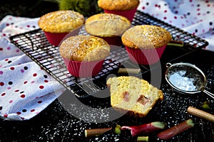 Muffins. Delicious homemade muffins with rhubarb