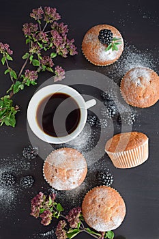 Muffins - delicious pastries.