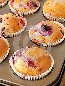 muffins gros plans aux petits fruis