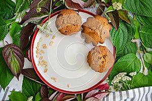 Muffins and peanuts on a ceramic plate, with green and red plant leaves and wild flowers on cotton tablecloth. Mock up. Template