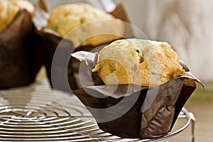 Muffins on a rack photo