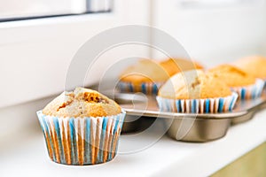 Muffins On The Windowsill