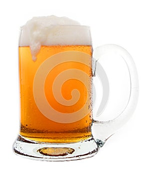 Mug of Beer