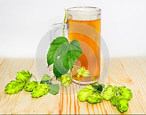 Mug of beer and branch of hops on wooden surface