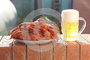 Mug of beer and a dish with boiled cancers photo