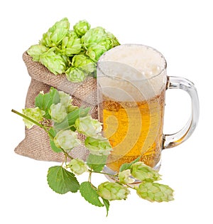 Mug of beer and hops