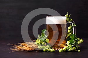 Mug of beer with wheat and hop cones on dark wooden background. October fest background