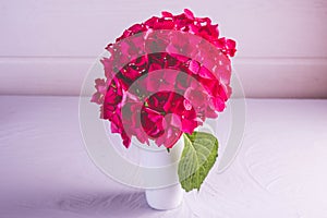 Mug with a branch of pink hydrangea on a light background