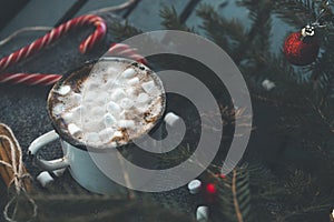 Mug cocoa, hot chocolate with marshmallows, fir branches on a dark background, winter Christmas hot drink