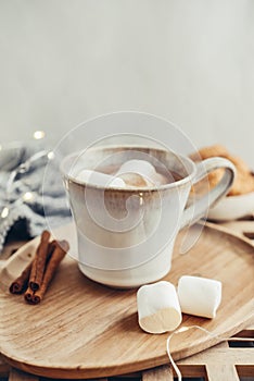 Mug with cocoa and marshmallow