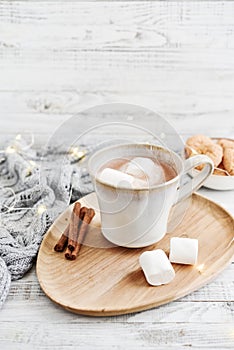 Mug with cocoa and marshmallow