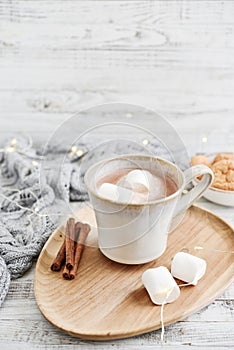 Mug with cocoa and marshmallow