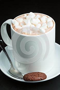 Mug of cocoa with marshmallows