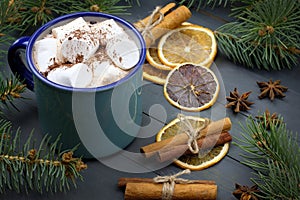 Mug of cocoa with marshmallows and a cinnamon stick and dry oranges.