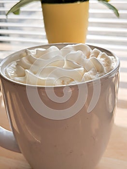 Mug of Cocoa with Whipped Topping