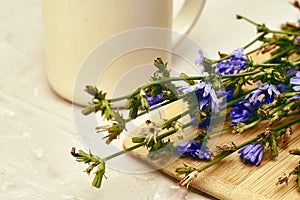 A mug with a drink and chicory flowers on a cutting board