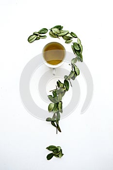 A mug of fragrant and useful herbal tea. A dried herb is lying next to it for cooking