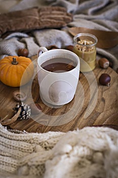 Mug of hot chocolate in the fall