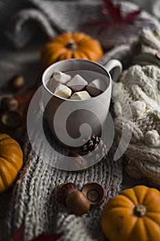 Mug of hot chocolate in fall with marshmallows