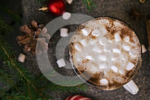 Mug of hot chocolate with marshmallow, fir branches on dark background, winter Christmas hot drink, top view