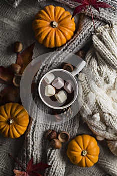 Mug of hot chocolate with marshmallows in autumn