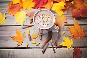 a mug of hot chocolate surrounded by fall leaves