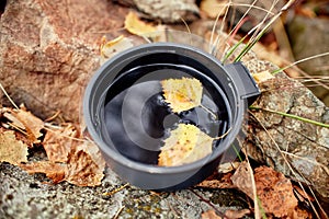 Mug of hot tea is autumn in a forest in Golden yellow foliage. Autumn came, magical mood. Yellow leaves floating in tea