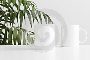 Mug mockup on a white table and a palm plant