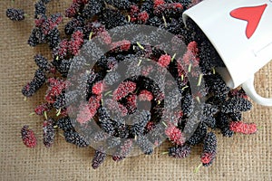 Mug mulberry fruits spread