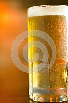 Mug of refreshing beer