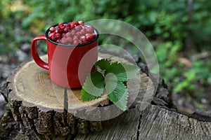 Mug of tasty wild strawberries and leaves on stump against blurred background. Space for text