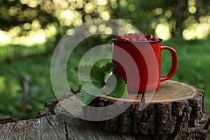 Mug of tasty wild strawberries and leaves on stump against blurred background. Space for text