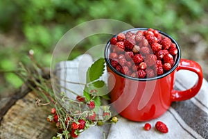 Mug and tasty wild strawberries on stump against blurred background, closeup