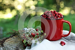 Mug and tasty wild strawberries on stump against blurred background. Space for text