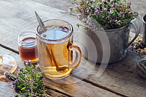 Mug of thyme tea, honey jar and rustic metal cup full of thymus serpyllum medicinal herbs