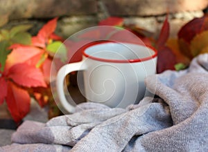 Mug with warm tea on wooden bench on fallen autumn leaves in the forest, outdoor weekend, fall camping.