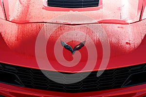 Mugello Circuit, Italy - 23 September 2021: detail of the logo on a Chevrolet Corvette in the Mugello Circuit Paddock, Italy