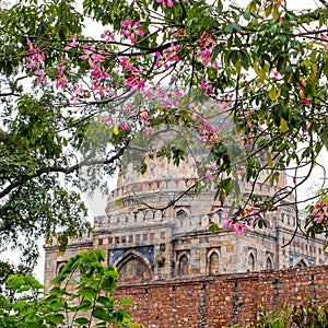 Mughal Architecture inside Lodhi Gardens, Delhi, India, Arches Inside the The Three-domed mosque in Lodhi Gardens is said to be