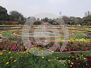 Mughal garden best place in new delhi