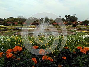 Mughal Garden in new Delhi